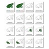 Frog - Classification Cards - German
