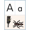 Class cards for the classroom - publication
