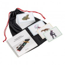 Reading book and animals for the black band