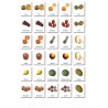 Obst - Klassifikationskarten - Deutsch