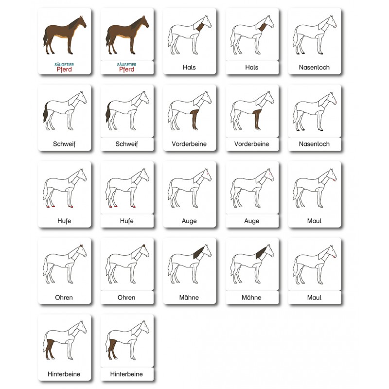 Horse - Classification Cards - German