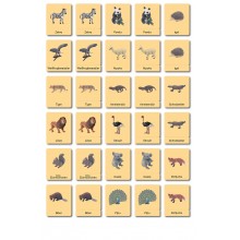 Continent Box - Animals of the Continents