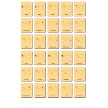 Continent Box - Animals of the Continents