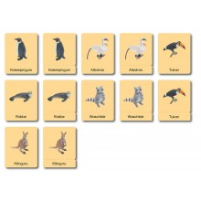 Continent Box - Animals of the Continents