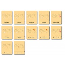 Continent Box - Animals of the Continents