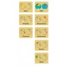Continent Box - Animals of the Continents