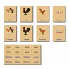animal family - chicken - German