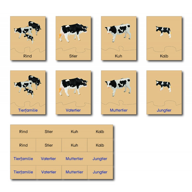 animal family - cattle - German