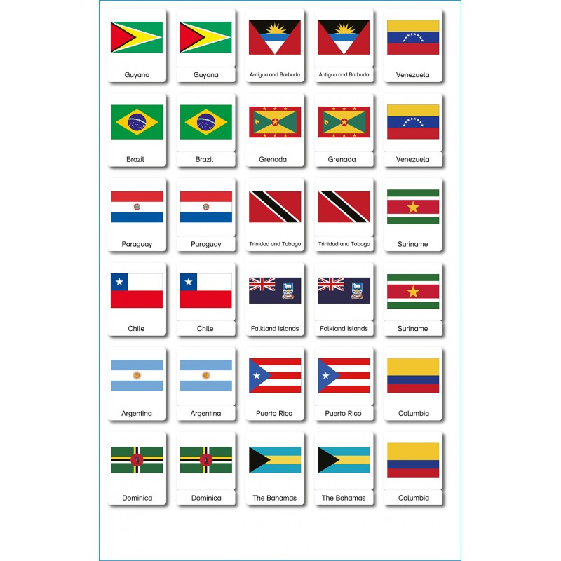 flags - 3 parts classification cards - English