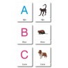 ABC zvieratá - Klasifikačné karty - Nemčina