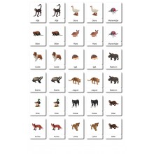 ABC Animals - Classification Cards - German