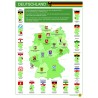 Deutschland - Plakat 50 x 70 cm - Deutsch - grün