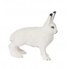 Animals from polar regions