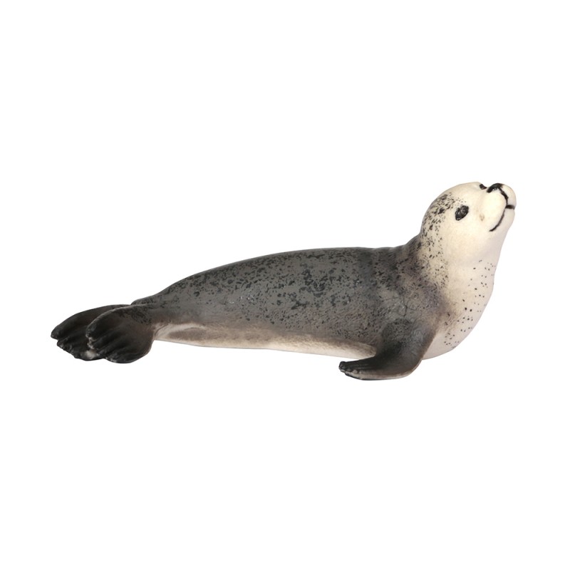 Animals from polar regions
