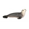 Animals from polar regions
