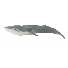 Animals from polar regions