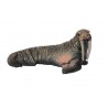 Tiere aus Polarregionen