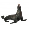 Zvieratá oceánov