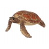 Tiere der Ozeane