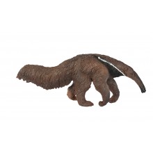 Animals from South America