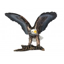 Animals from North America