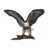 Animals from North America