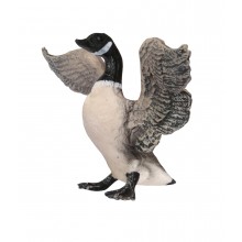 Animals from North America