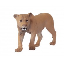 Animals from North America