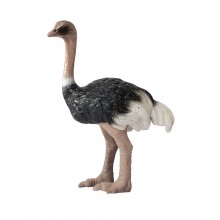 Zvieratá z Afriky