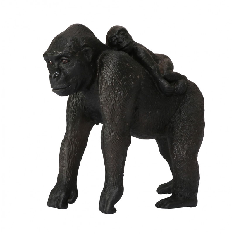 Animals from Africa