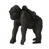 Tiere aus Afrika