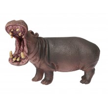 Animals from Africa