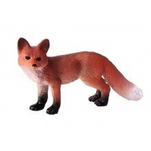 Animals from Europe