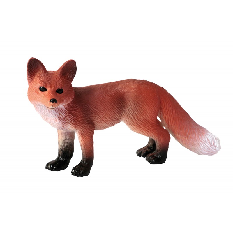 Animals from Europe