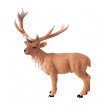Tiere aus Europa