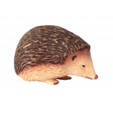 Animals from Europe