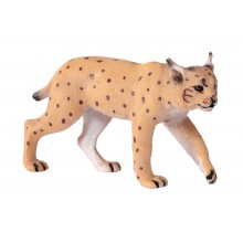 Animals from Europe