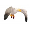 Animals from Europe