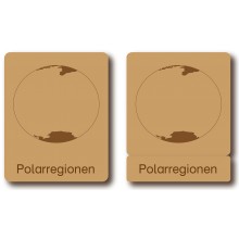 Classification cards - Animals from polar regions - German