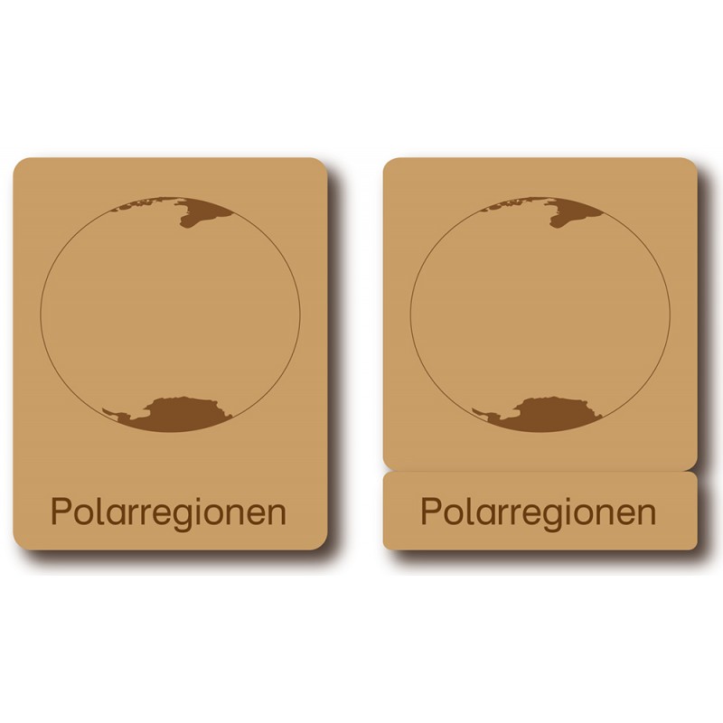Classification cards - Animals from polar regions - German