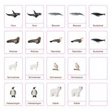 Classification cards - Animals from polar regions - German