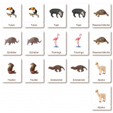 Classification cards - Animals from South America - German