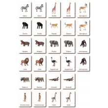 Classification cards - Animals from Africa - German