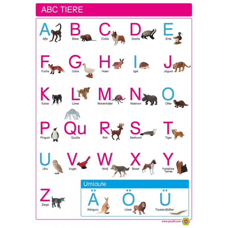 ABC Animals - Poster 50 x 70 cm - German - Uppercase Print