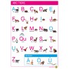 ABC Animals - Poster 50 x 70 cm - German - Uppercase Print