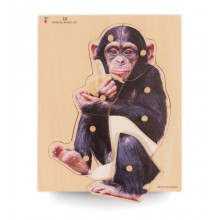 Wood puzzle realistic chimpanzee