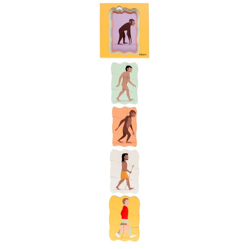 Growth puzzle - evolution