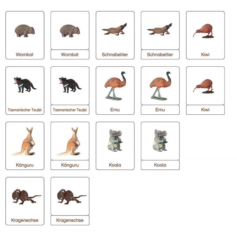 Classification cards - Animals from Australia - German