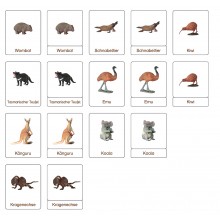 Tiere aus Australien