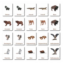 Klassifikationskarten - Tiere aus Nordamerika - Deutsch